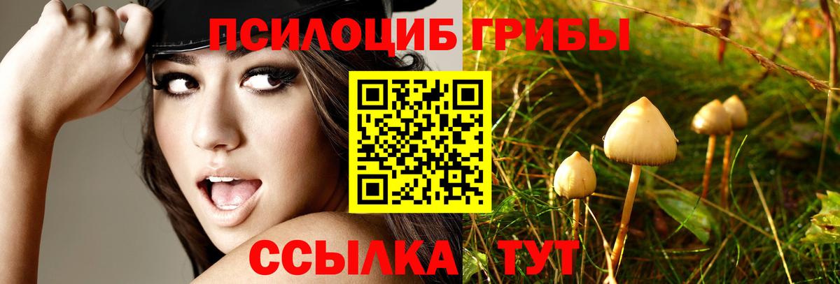 Белорецк  Псилоцибиновые грибы ЛСД  цена наркотик  Вход с VPN 